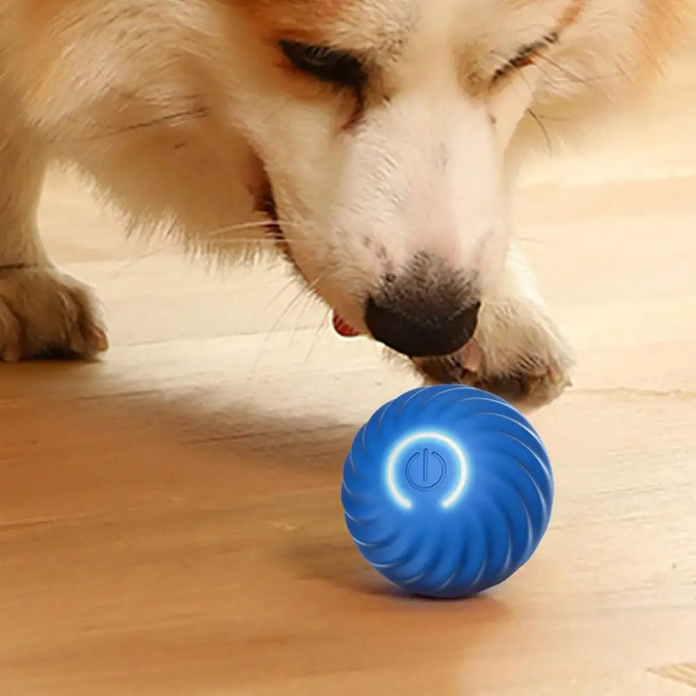 Automatyczne interaktywne psoty z ball-amerykańskim paskiem obciążenia, promując ruch, bezpieczny, 10 cm, dla psów i kotów