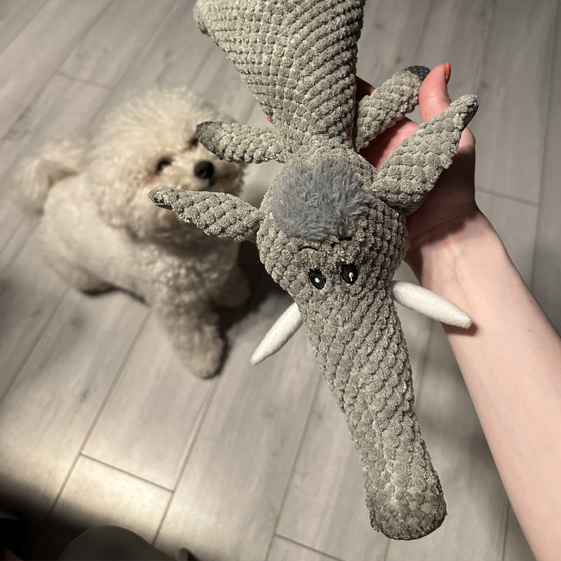 Dodatkowy mocne zabawki dla psów do aktywnego hobby - trwałe dżem z psem wykonane z materiału przyjaznego dla zwierząt, idealne dla wszystkich rozmiarów