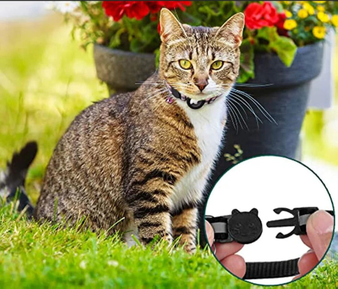 Premium Cat Neck pasek z regulacją integracji Airtday, odporną na warunki atmosferyczne, odblaskowe, do precyzyjnego śledzenia lokalizacji