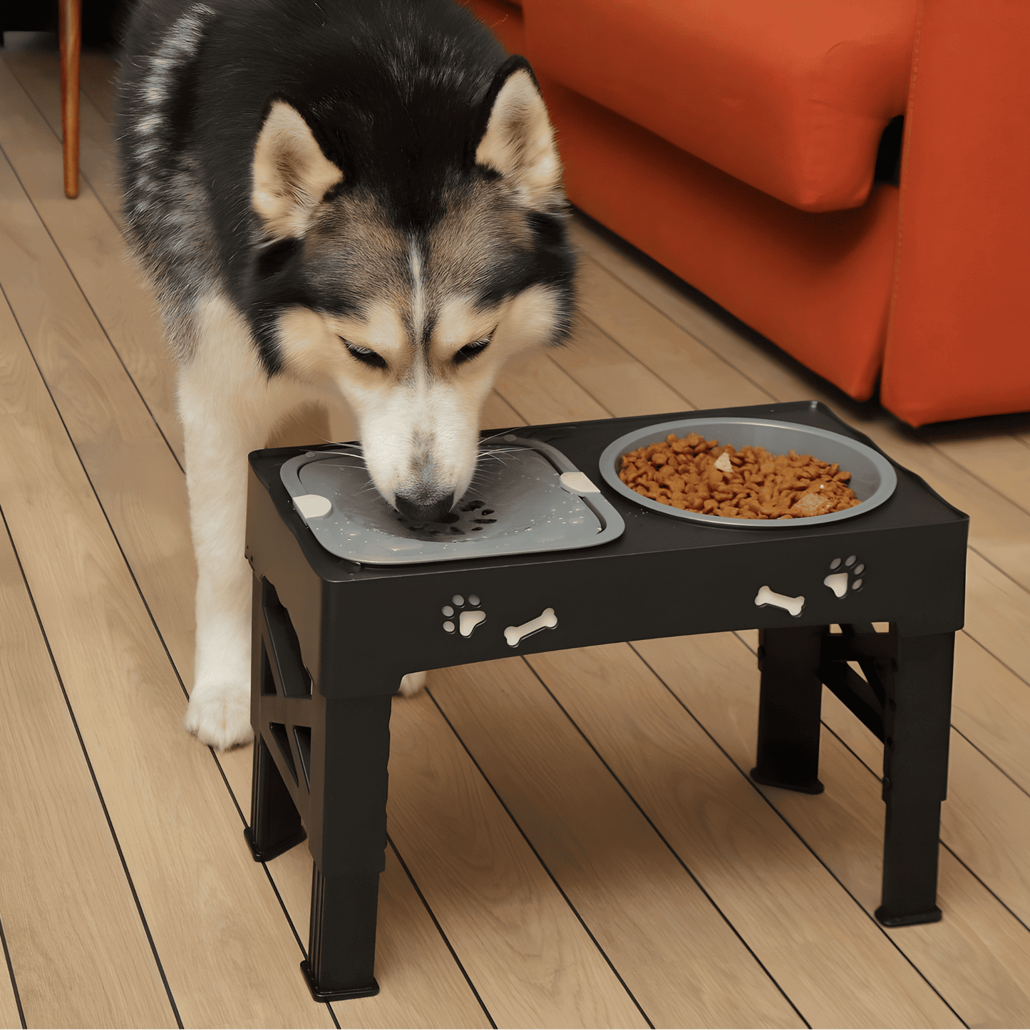 Zwiększone stoisko dla psów z regulowaną wysokością i przeciwpoślizgowymi miskami na podstawie bazowych, powolnych pasz i wodnych misek