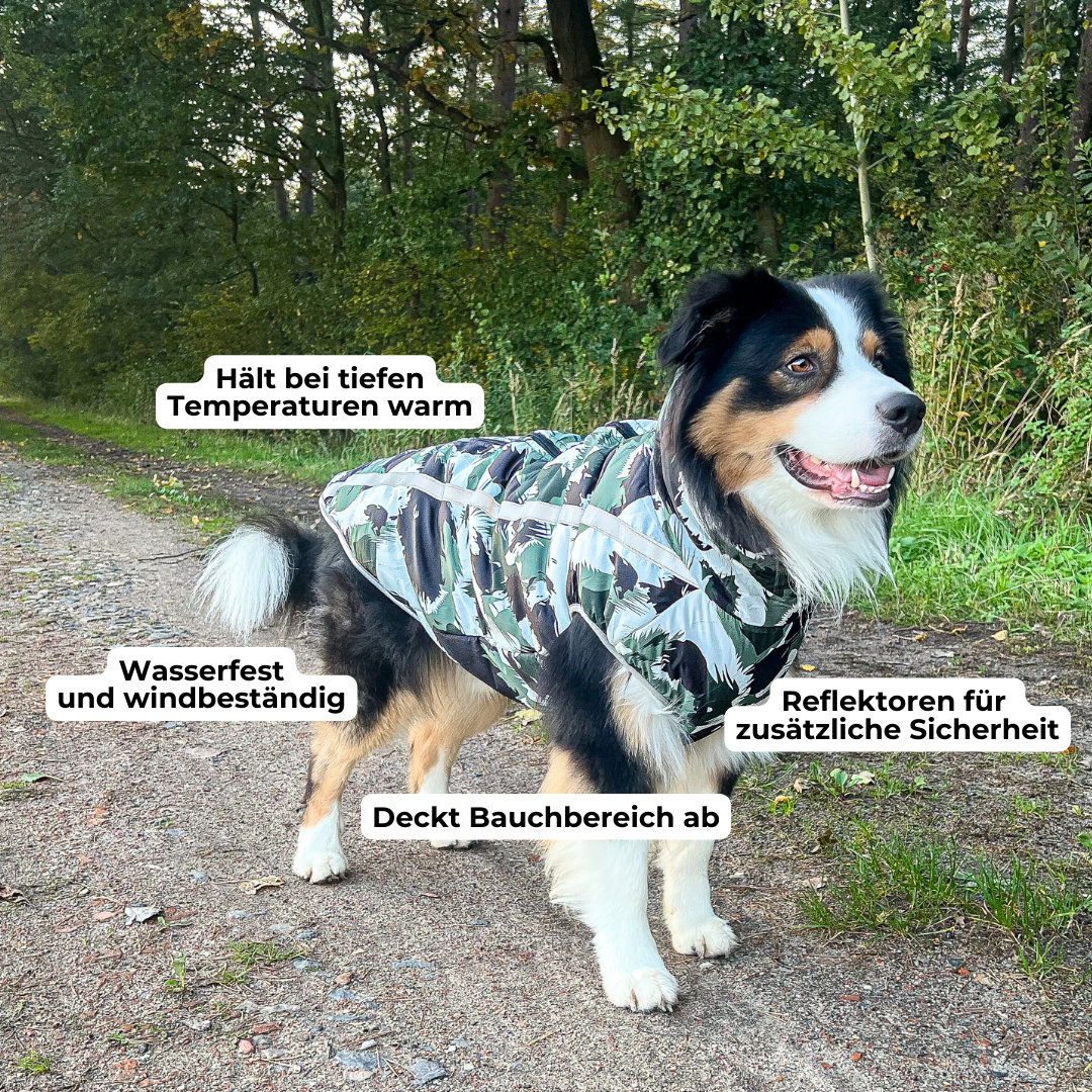 Active+ Thermo Dog Coat – wodoodporny, odblaskowy, z ochroną brzucha na zimną i mokrą pogodę