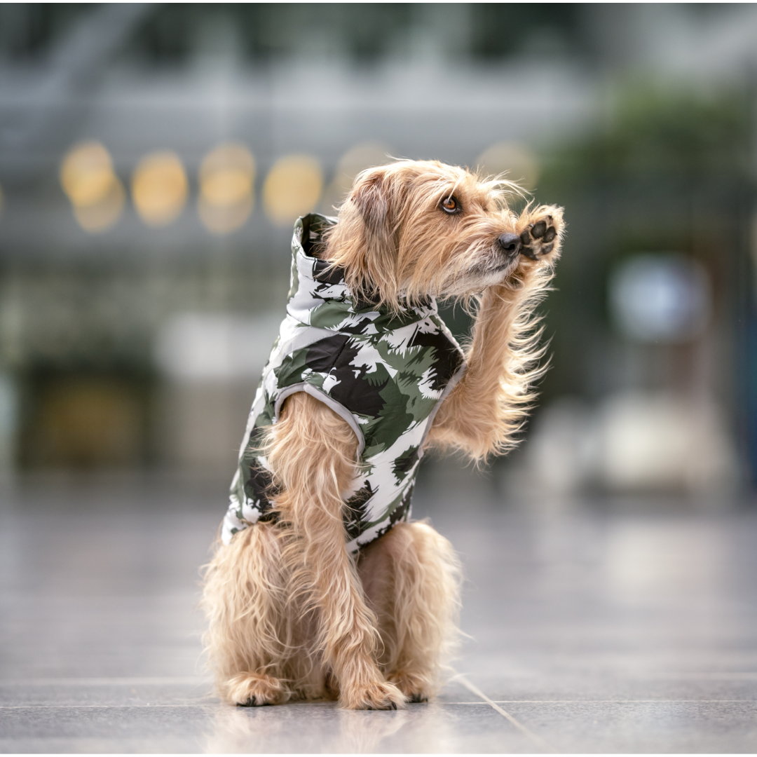 Active+ Thermo Dog Coat – wodoodporny, odblaskowy, z ochroną brzucha na zimną i mokrą pogodę